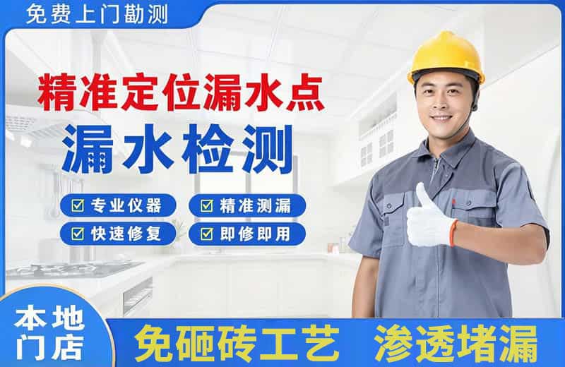 金山精准测漏点
